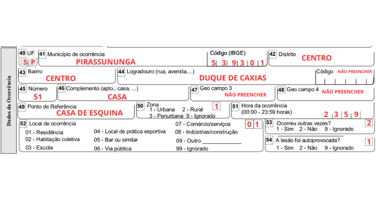 IMAGEM DE FICHA COM DADOS SIMULDOS DE OCORRENCIA